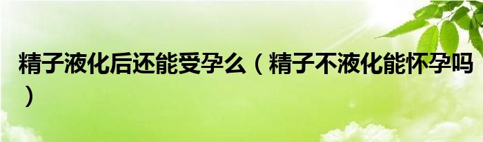 精子液化后還能受孕么（精子不液化能懷孕嗎）