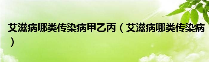 艾滋病哪類傳染病甲乙丙（艾滋病哪類傳染?。?class='thumb lazy' /></a>
		    <header>
		<h2><a  href=