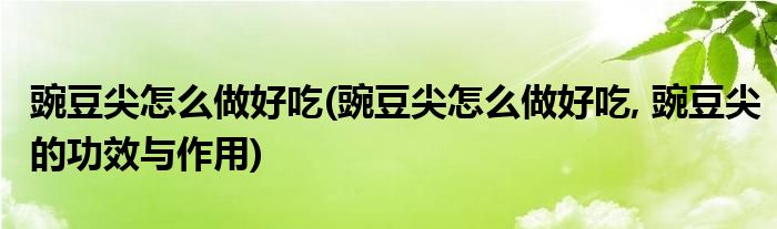 豌豆尖怎么做好吃(豌豆尖怎么做好吃, 豌豆尖的功效與作用)