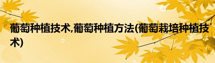 葡萄種植技術(shù),葡萄種植方法(葡萄栽培種植技術(shù))