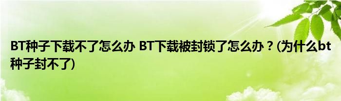 BT種子下載不了怎么辦 BT下載被封鎖了怎么辦？(為什么bt種子封不了)