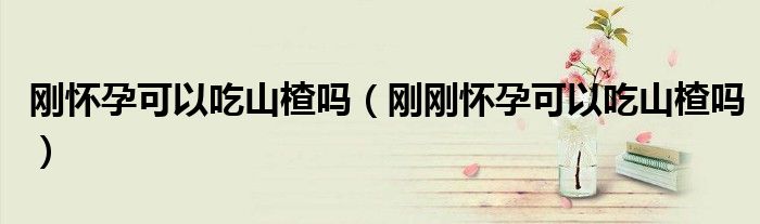 剛懷孕可以吃山楂嗎(剛剛懷孕可以吃山楂嗎)