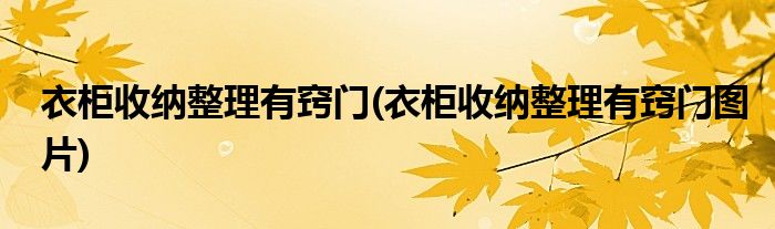 衣柜收納整理有竅門(衣柜收納整理有竅門圖片)