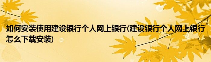 如何安裝使用建設(shè)銀行個(gè)人網(wǎng)上銀行(建設(shè)銀行個(gè)人網(wǎng)上銀行怎么下載安裝)