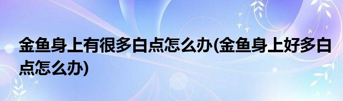 金魚身上有很多白點怎么辦(金魚身上好多白點怎么辦)