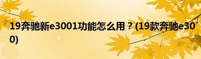 19奔馳新e3001功能怎么用？(19款奔馳e300)