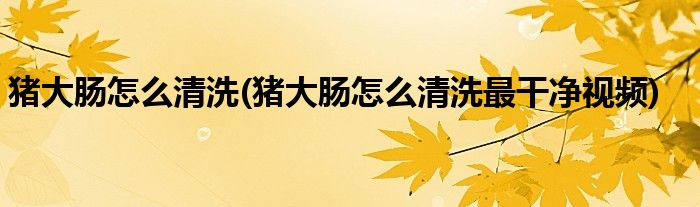 豬大腸怎么清洗(豬大腸怎么清洗最干凈視頻)