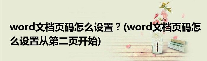 word文檔頁碼怎么設(shè)置?(word文檔頁碼怎么設(shè)置從第二頁開始)