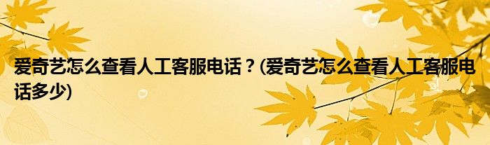 愛奇藝怎么查看人工客服電話？(愛奇藝怎么查看人工客服電話多少)