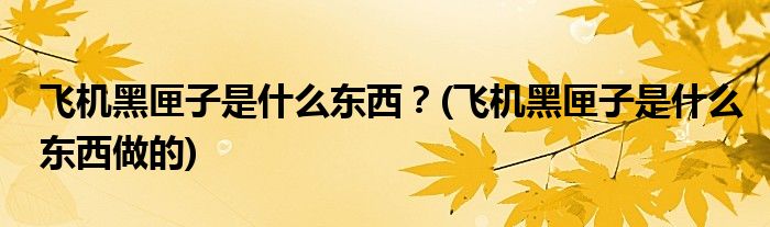 飛機黑匣子是什么東西？(飛機黑匣子是什么東西做的)