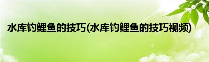 水庫釣鯉魚的技巧(水庫釣鯉魚的技巧視頻)