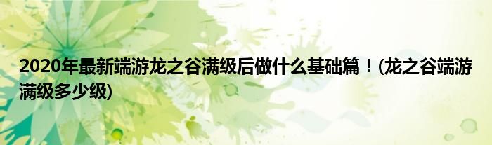 2020年最新端游龍之谷滿級后做什么基礎篇！(龍之谷端游滿級多少級)
