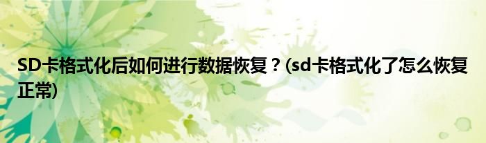 SD卡格式化后如何進(jìn)行數(shù)據(jù)恢復(fù)？(sd卡格式化了怎么恢復(fù)正常)