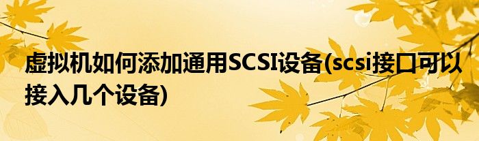 虛擬機如何添加通用SCSI設(shè)備(scsi接口可以接入幾個設(shè)備)