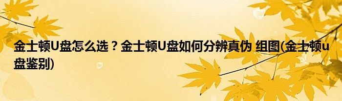 金士頓U盤怎么選？金士頓U盤如何分辨真?zhèn)?組圖(金士頓u盤鑒別)