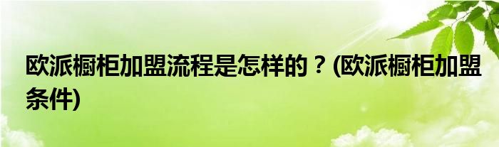 歐派櫥柜加盟流程是怎樣的？(歐派櫥柜加盟條件)