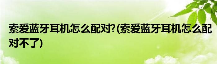 索愛(ài)藍(lán)牙耳機(jī)怎么配對(duì)?(索愛(ài)藍(lán)牙耳機(jī)怎么配對(duì)不了)