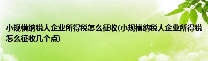小規(guī)模納稅人企業(yè)所得稅怎么征收(小規(guī)模納稅人企業(yè)所得稅怎么征收幾個(gè)點(diǎn))