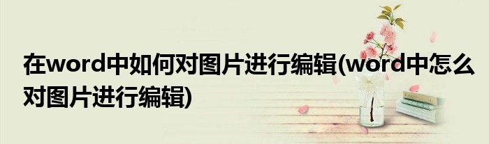 在word中如何對圖片進(jìn)行編輯(word中怎么對圖片進(jìn)行編輯)