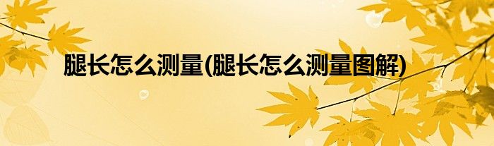 腿長(zhǎng)怎么測(cè)量(腿長(zhǎng)怎么測(cè)量圖解)