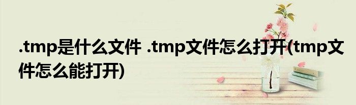 .tmp是什么文件 .tmp文件怎么打開(kāi)(tmp文件怎么能打開(kāi))