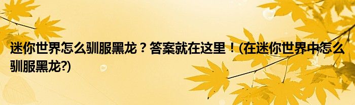迷你世界怎么馴服黑龍？答案就在這里！(在迷你世界中怎么馴服黑龍?)