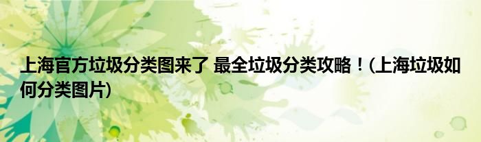上海官方垃圾分類圖來了 最全垃圾分類攻略！(上海垃圾如何分類圖片)