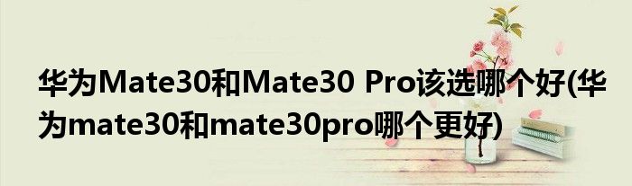 華為Mate30和Mate30 Pro該選哪個(gè)好(華為mate30和mate30pro哪個(gè)更好)