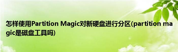 怎樣使用Partition Magic對新硬盤進(jìn)行分區(qū)(partition magic是磁盤工具嗎)