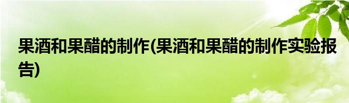 果酒和果醋的制作(果酒和果醋的制作實(shí)驗(yàn)報(bào)告)