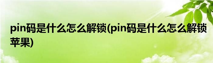 pin碼是什么怎么解鎖(pin碼是什么怎么解鎖蘋(píng)果)