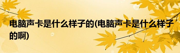 電腦聲卡是什么樣子的(電腦聲卡是什么樣子的啊)