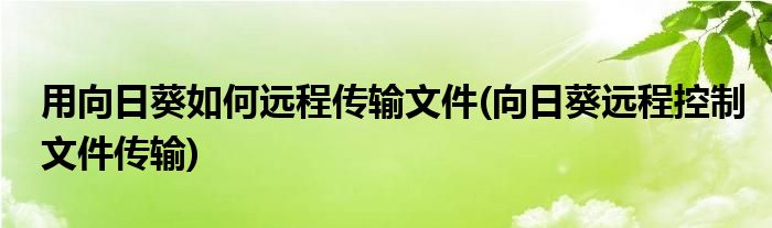 用向日葵如何遠程傳輸文件(向日葵遠程控制文件傳輸)