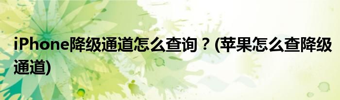 iPhone降級通道怎么查詢？(蘋果怎么查降級通道)