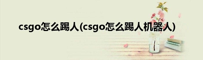 csgo怎么踢人(csgo怎么踢人機(jī)器人)