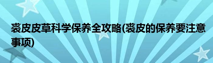 裘皮皮草科學(xué)保養(yǎng)全攻略(裘皮的保養(yǎng)要注意事項(xiàng))