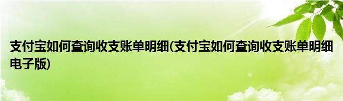 支付寶如何查詢收支賬單明細(xì)(支付寶如何查詢收支賬單明細(xì)電子版)