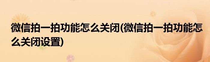 微信拍一拍功能怎么關(guān)閉(微信拍一拍功能怎么關(guān)閉設(shè)置)