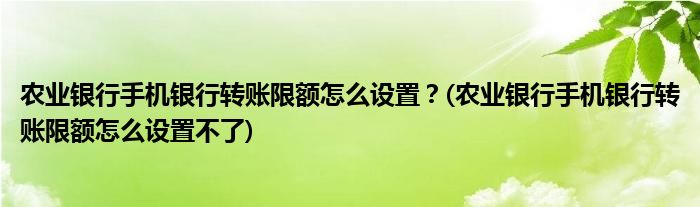 農(nóng)業(yè)銀行手機銀行轉賬限額怎么設置？(農(nóng)業(yè)銀行手機銀行轉賬限額怎么設置不了)
