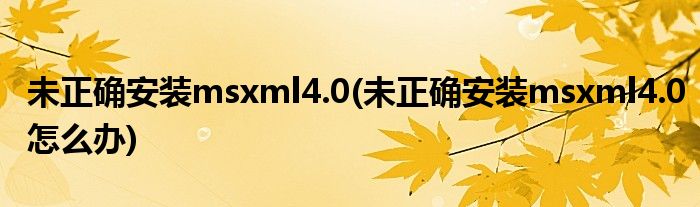 未正確安裝msxml4.0(未正確安裝msxml4.0怎么辦)