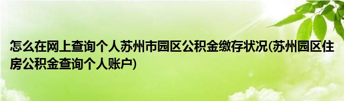 怎么在網(wǎng)上查詢(xún)個(gè)人蘇州市園區(qū)公積金繳存狀況(蘇州園區(qū)住房公積金查詢(xún)個(gè)人賬戶)