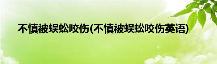 不慎被蜈蚣咬傷(不慎被蜈蚣咬傷英語)