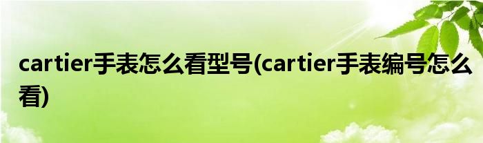 cartier手表怎么看型號(hào)(cartier手表編號(hào)怎么看)