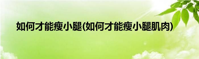 如何才能瘦小腿(如何才能瘦小腿肌肉)