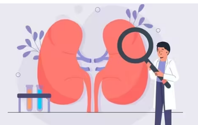 您可能忽視的 7 個(gè)腎臟疾病跡象