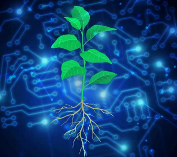 人工智能幫助科學家設(shè)計植物來應(yīng)對氣候變化