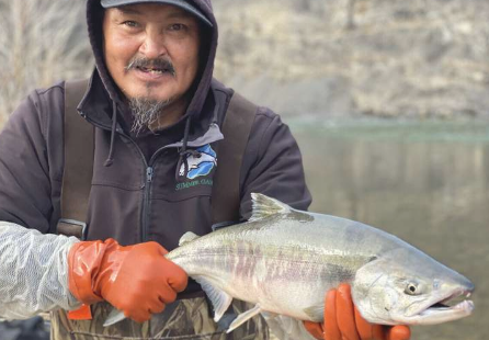北極變暖導(dǎo)致鮭魚(yú)分布范圍擴(kuò)大