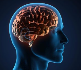突破性的新系統(tǒng)提供前所未見(jiàn)的大腦圖像