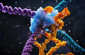 科學(xué)家揭示生物編程的全新機(jī)制