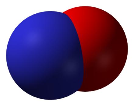 科學(xué)家中和活性氮分子以增強癌癥免疫療法